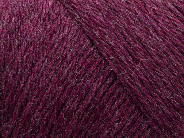 Arwetta - Boysenberry (807)