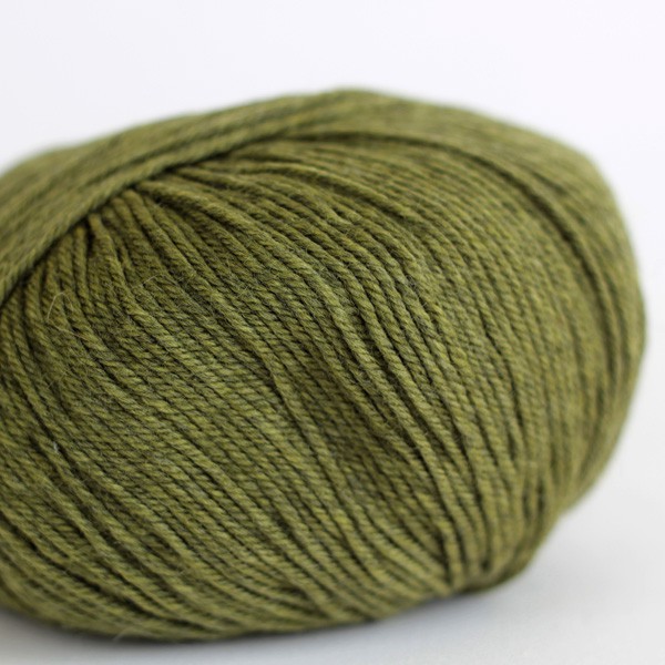 220 Superwash - Turtle (1919)