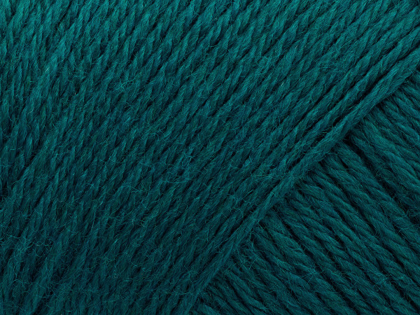 Arwetta - Teal (202)