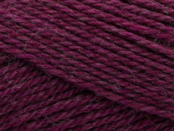 Pernilla - Boysenberry (807)